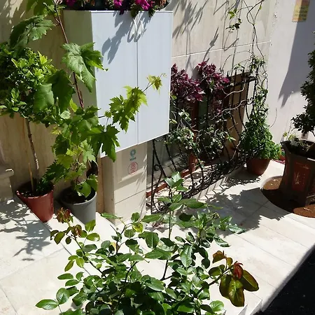新房酒店 伊斯坦布尔